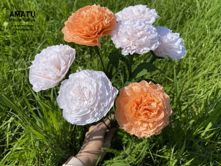 IMG_8829 IMG_8829