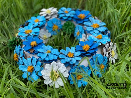 IMG_E7259 IMG_E7259